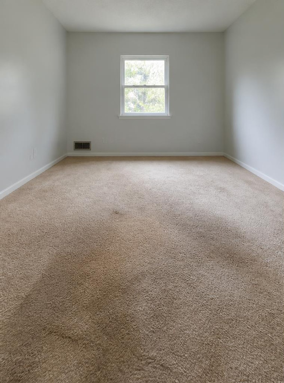 Carpet to luxury vinyl plank before work started